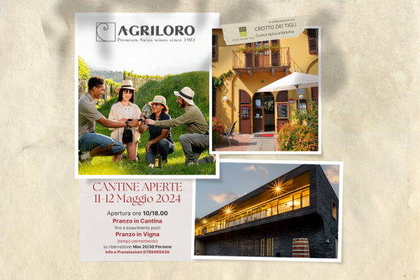 ππ· CELLARS OPEN 2024: With our traditional lunch at the Winery and exclusive new lunch in the vineyard π·π