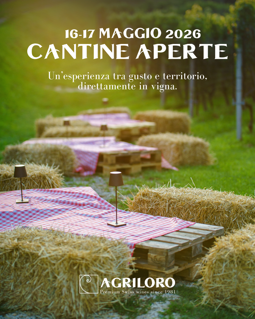 Cantine Aperte 2026