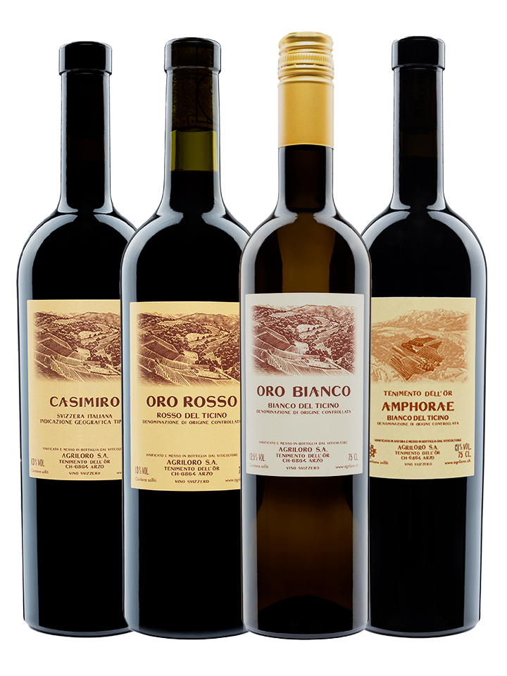 Mini Blend Entdeckung