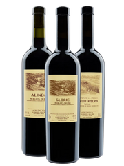 Découverte du merlot