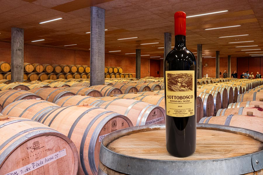 degustazione-sottobosco.jpg__PID:cc71a854-351b-4954-91c9-961efb0da16f