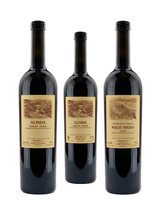 Merlot Discovery