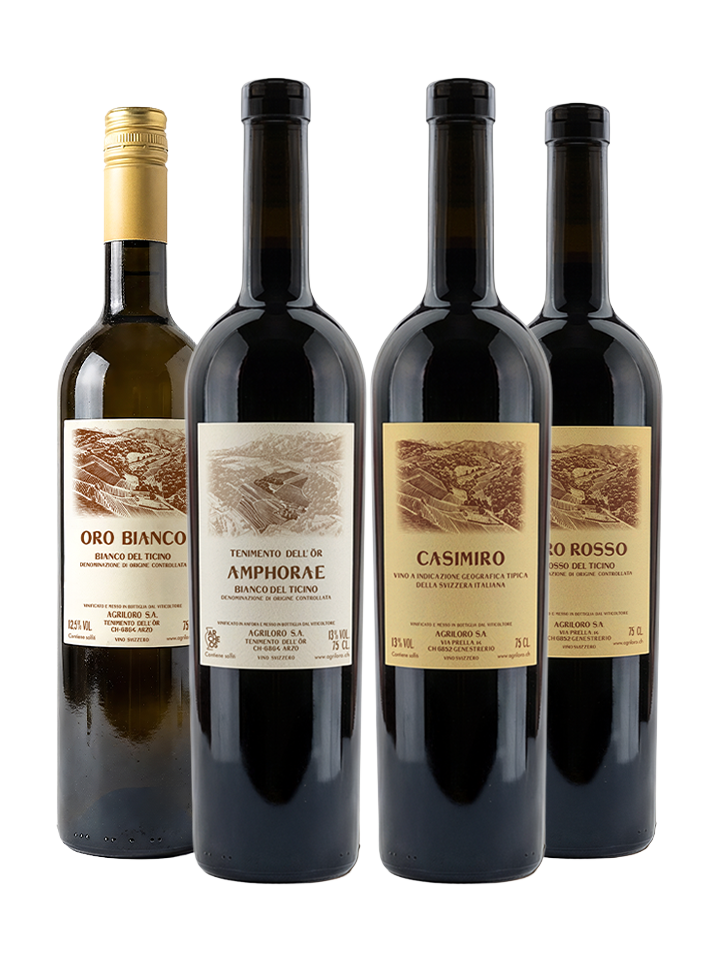 Mini Blend Discovery