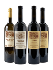 Mini Blend Discovery